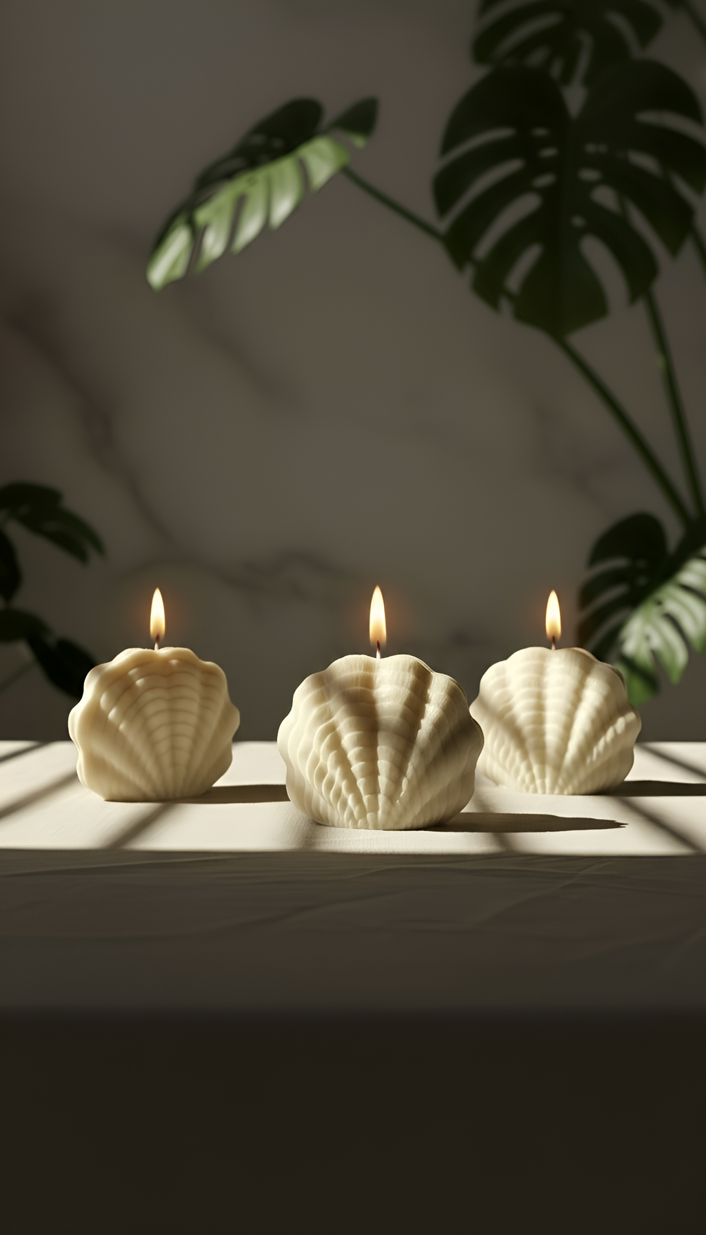 The Seashells (Set of 3)
